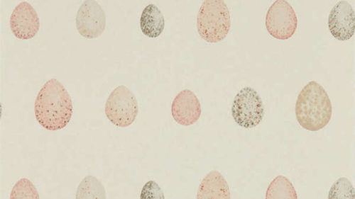 Nest Egg 216506
